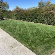 a lawn with a lawn mower