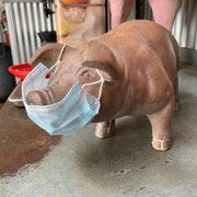 Need to have this mask fitted for proper use. Bad Piggy!!
