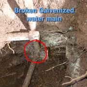 Large tree root beneath the pipe caused a crack in the main water service.