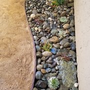 a garden bed with rocks and succulents