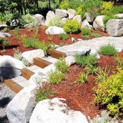 a garden with rocks and plants