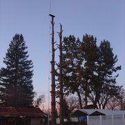 48 Foot mast for my Digital Path receiver