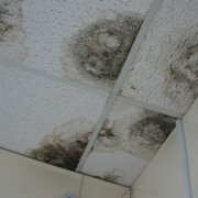 Gallery image #9