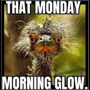 This is how I feel on Mondays before my coffee.
