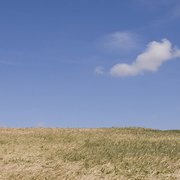 Gallery image #0