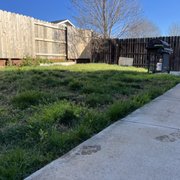 a lawn with a lawn mower