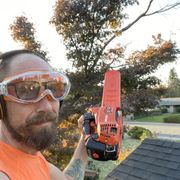 Looking at a Japanese Maple that has to be topped so it doesn't block the suns path to the solar panels.