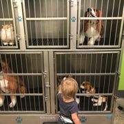 Veterinarian office
