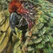 Acrylic Painting
 Janet Lombardi Blixt