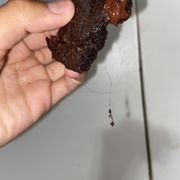 a hand holding a chocolate cookie