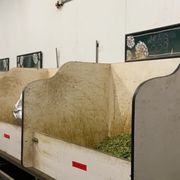 a row of sinks in a brewery