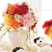Gallery image #6