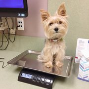 4.74 lbs of cuteness