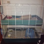This is the same cage, but it now has a second floor, with it's own door. I used the chloroplast sign for the top pan. Thanks!