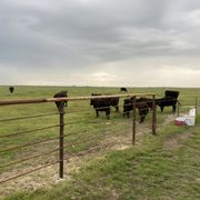 Pipe fence with sucker rod