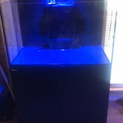 New aquarium delivered and set up