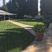 a view of a backyard