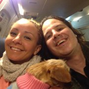 Tiny plain. Hip Dog #Samba