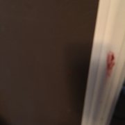 Gallery image #12