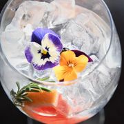 a glass of water with ice and flowers