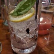 a glass of water with ice and a slice of lemon