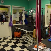 Our grooming salon!