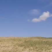Gallery image #4
