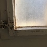 Gallery image #8