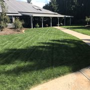 a view of the front yard of a home