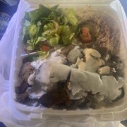 Gyro Plate