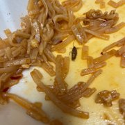 Pad Thai Fried Noodles
