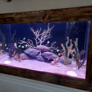 My display tank full of parasites.