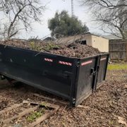 Brush and limbs