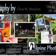 Gallery image #3