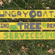 All you need to know if you have tree stuff to do.