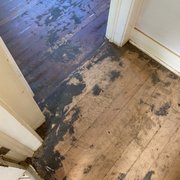 Our floors in terrible shape before Altered State got to us
