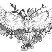 Tattoo Design