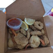 Fried Calamari