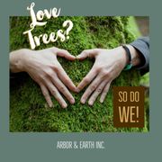 two hands making a heart on a tree