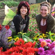 Our Flower Fairies!
