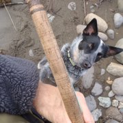 Catch of a lifetime. Stormy
