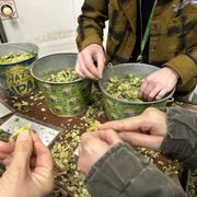 Tour - Hops