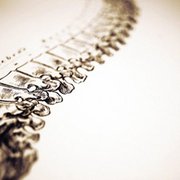 Gallery image #2