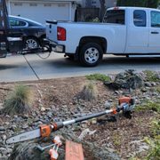 Tree trimming and landscape clean up.