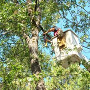 Setting a pulley to swing sections away from garage without hitting it. And removal of numerous large dead limbs.
