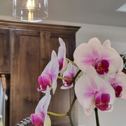 Gallery image #4