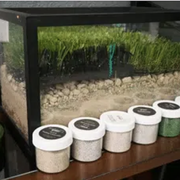 a display of artificial grass
