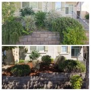 Before  and after