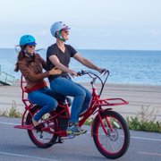 Electric Cargo Bike utility