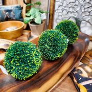 Boxwood Orbs on an olive wood tray